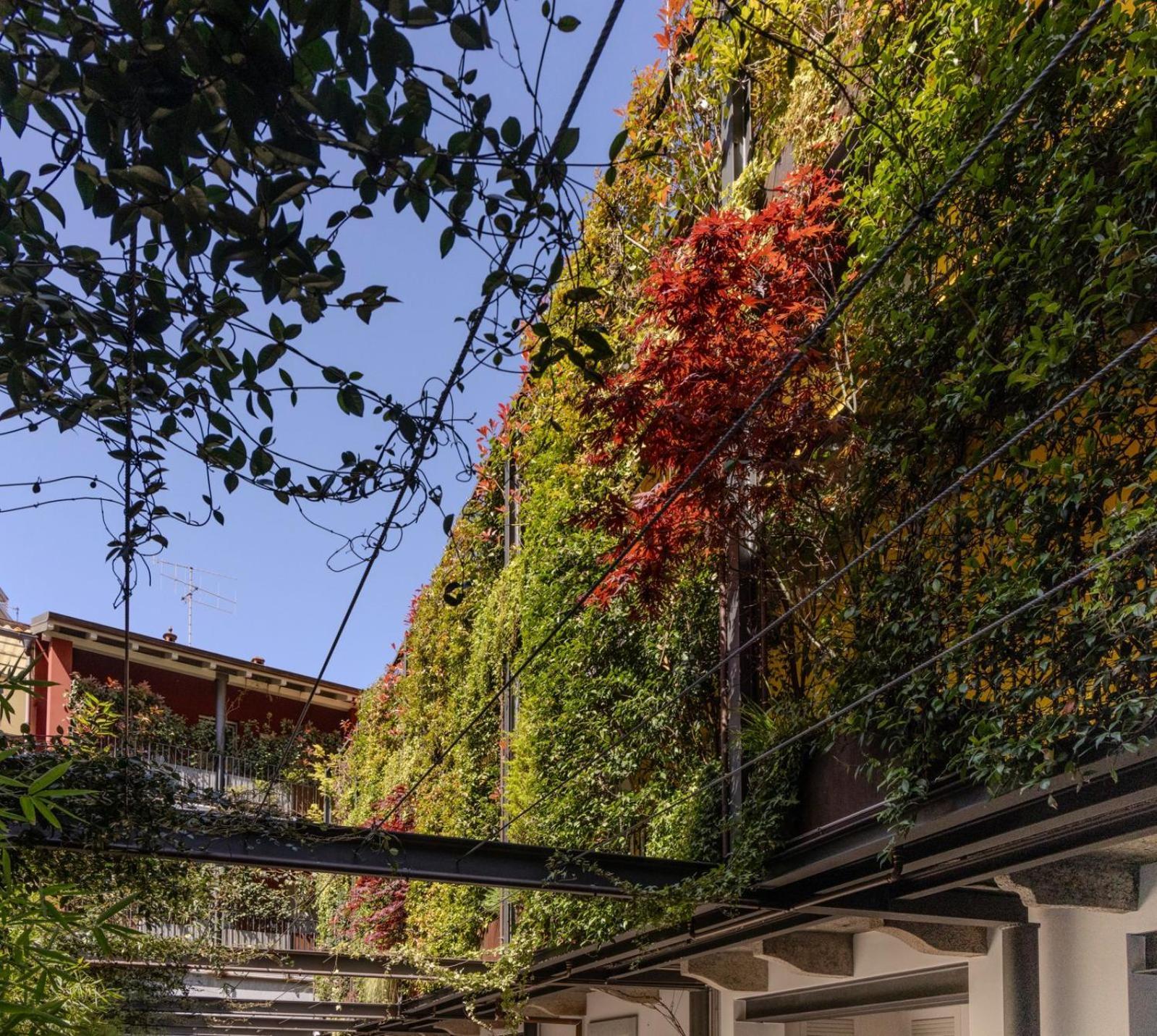 Residence Casa Coppa-appartamento Flox NUOVA APERTURA Omegna Esterno foto